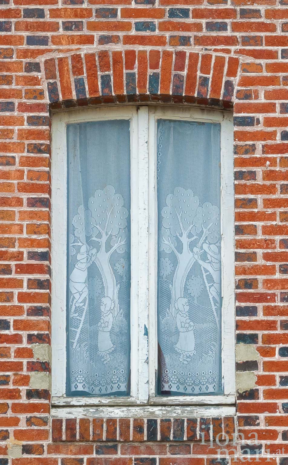 Gardine in einem alten Haus von Beuvron-en-Auge, in der Normandie